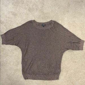 Express Sparkle Tunic Sweater